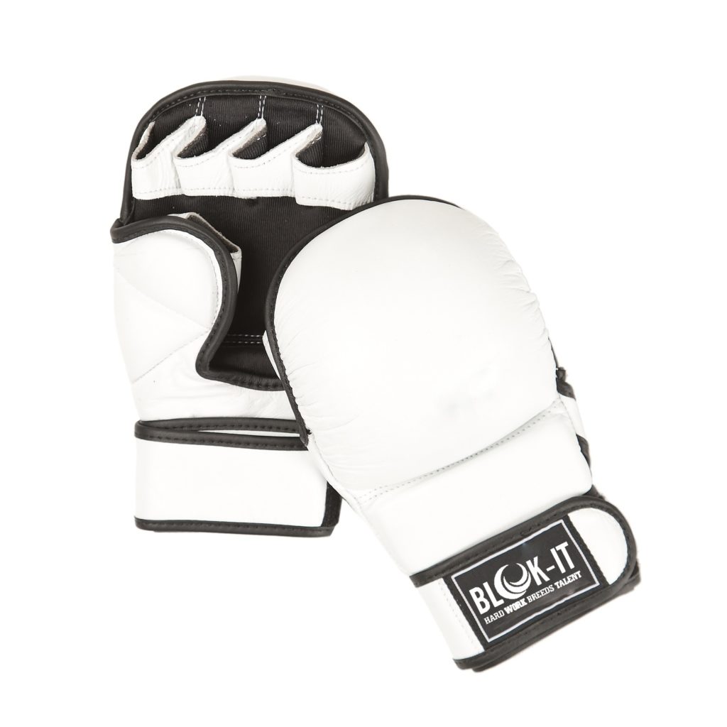 MMA Gloves by Blok-iT – Improved Protection for Sparring, Grappling and ...